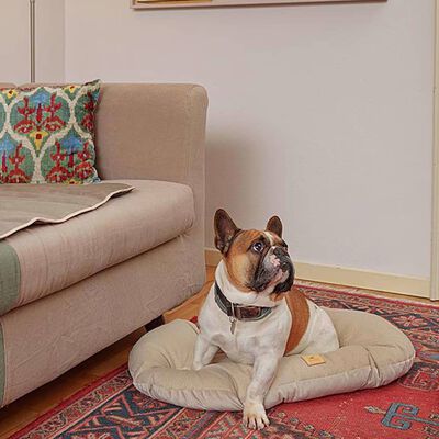 Camas para cão, almofada em bege