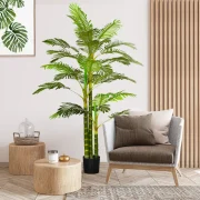 Um planta ideal para colocar em qualquer divisão da sua casa ou escritório