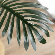 Um planta ideal para colocar em qualquer divisão da sua casa ou escritório