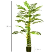 Um planta ideal para colocar em qualquer divisão da sua casa ou escritório
