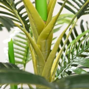 Um planta ideal para colocar em qualquer divisão da sua casa ou escritório