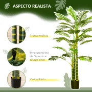Um planta ideal para colocar em qualquer divisão da sua casa ou escritório