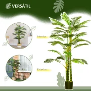 Um planta ideal para colocar em qualquer divisão da sua casa ou escritório